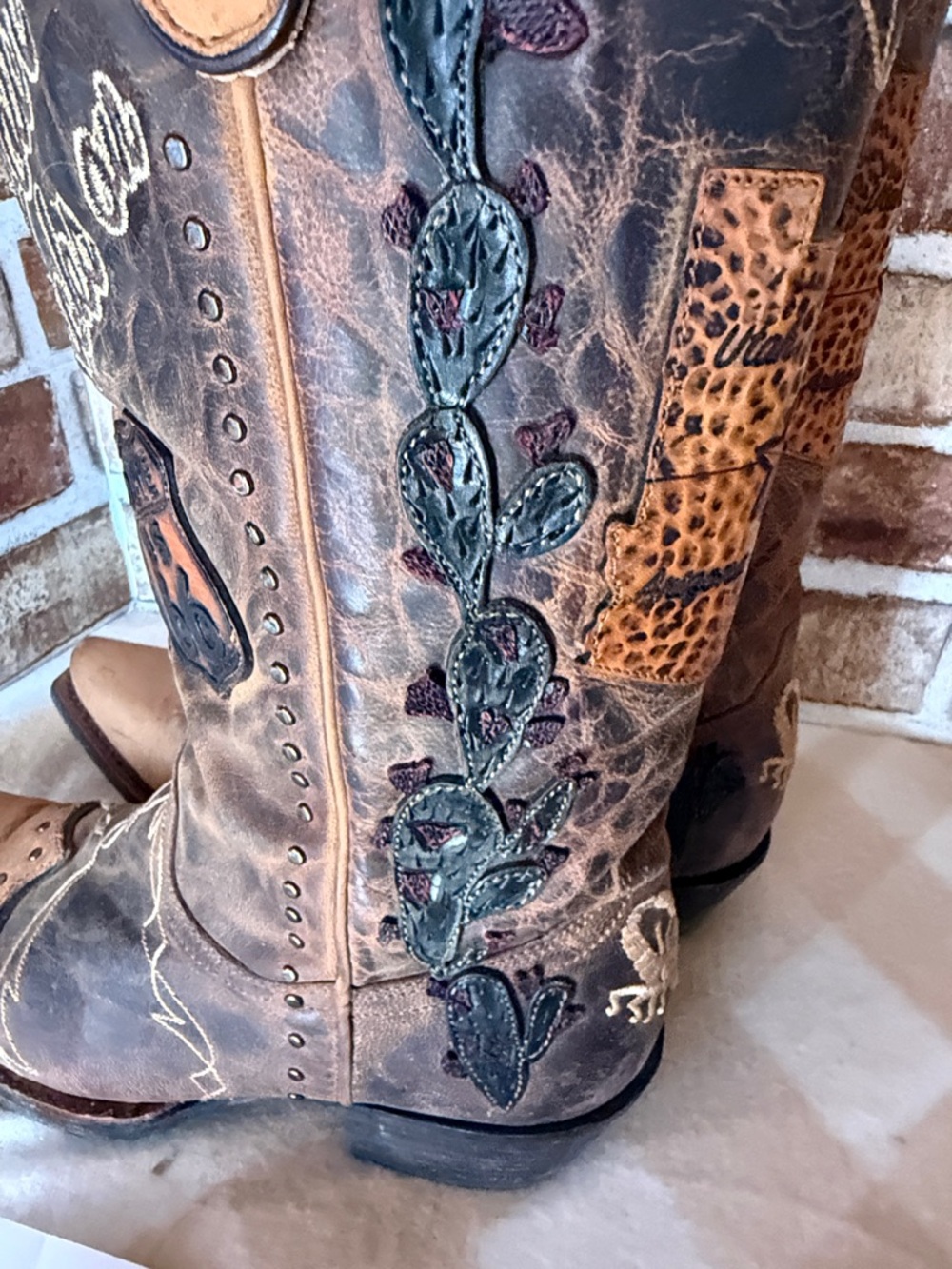 Old Gringo Brown kicks on route 66 - Picture 10 of 13
